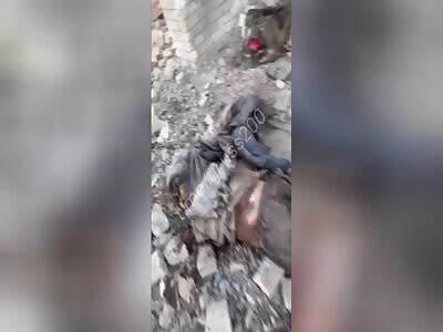 Adventures of Russians in Robotyno