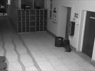 Ghost had fun at school