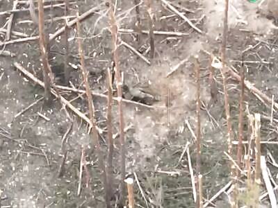 Another good russian