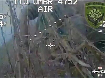 FPV VS RUSSIAN ILLEGAL EMIGRANTS 