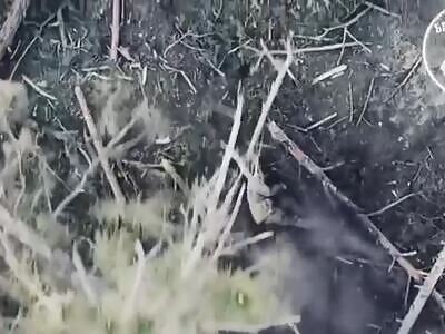 Grenades Landing with Precision 