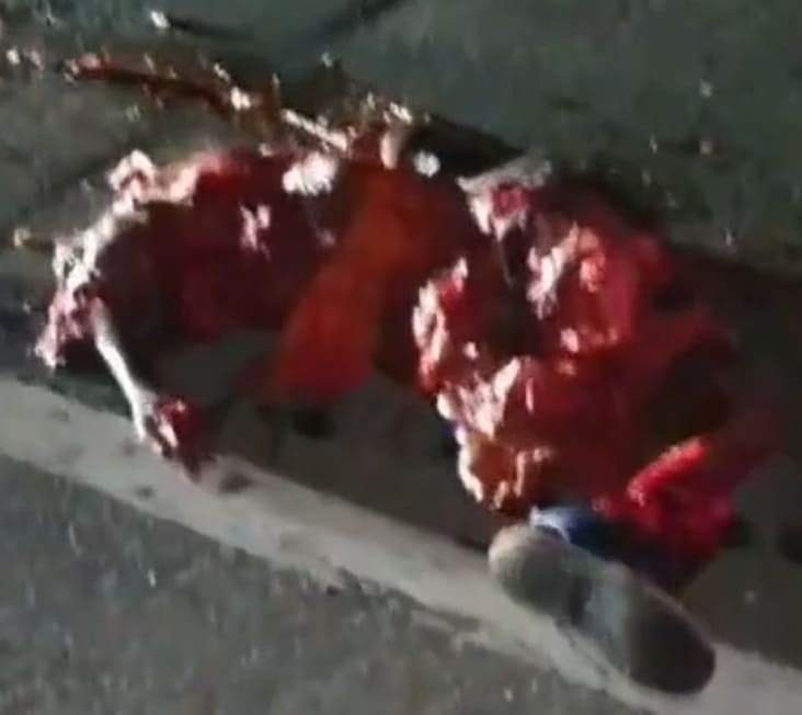 Elderly Man Turned Into Roadkill On Dominican Freeway