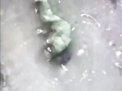 Many dead Russian soldiers