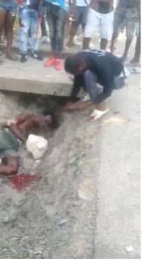 a Haitian destroying an arid valley