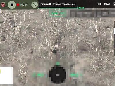 Russians paid a high price for their assault