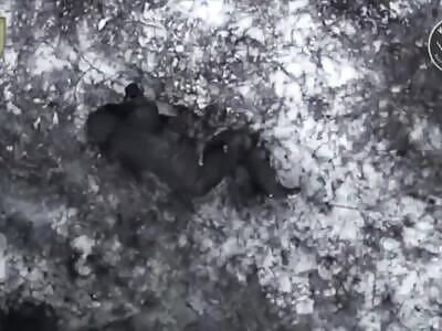 Russian made the right choice