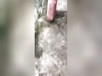 Gang member executed