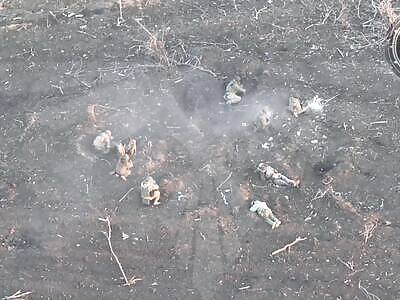 WOW: FPVs eliminated more than 20 Russians