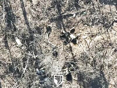 Elimination of Russian infantry