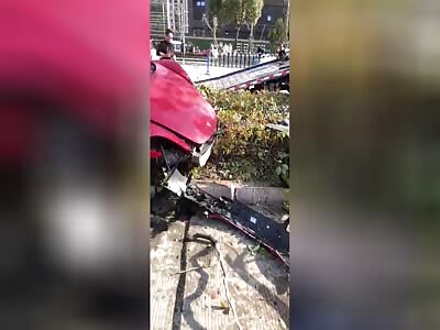 man  torn to pieces by a speeding car