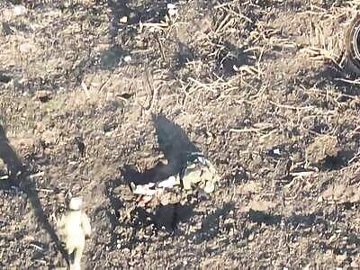 FPV splits a Russian invader in half