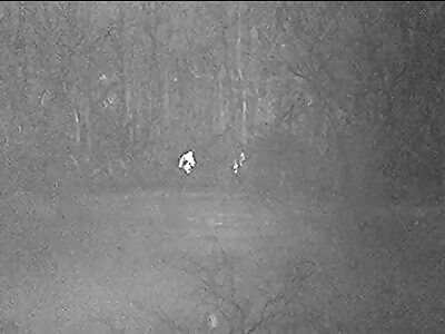 Ukranian snipers at work