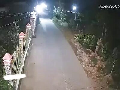 air of dog thieves get chased down and killed by dude in car 