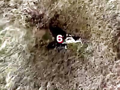 29 invaders killed in two hours