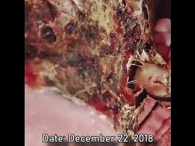 Kelly Ronahan (differentially_kelly) Complete Timeline ('18-'21)