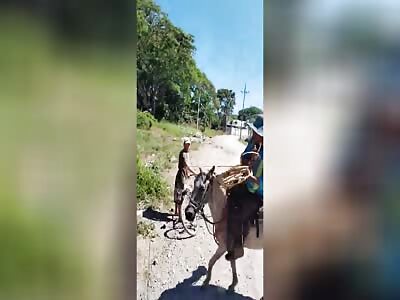 Citizens of Costa Rica, fed up with judicial impunity and the quick re