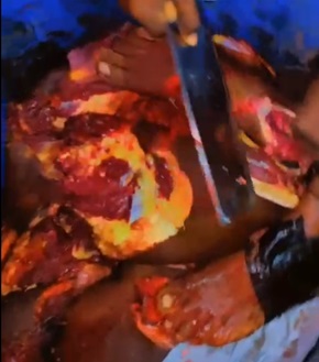  Dinner Will be Served Soon...