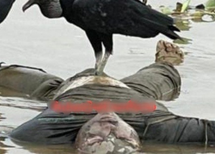 FINDING OF A LIFELESS BODY FLOATING IN THE RIVER