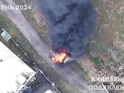 Monthly report of the work of Magyar Birds