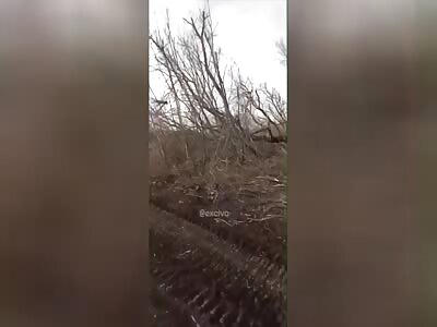 Orc Flattened by Own Tank into Cartoonish, Flat Version of Former Self