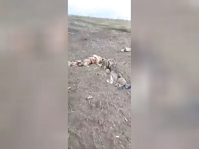 RU POV: invader shows his dead comrades