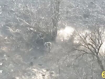 Group of Russians executed by FPV