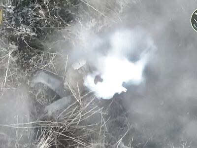 Ukrainian Wrath Unleashed — Russian Invaders Mutilated