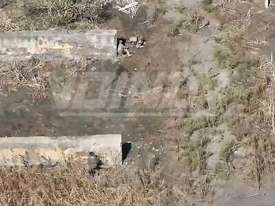 Russian warrior and two stupid ukrops  