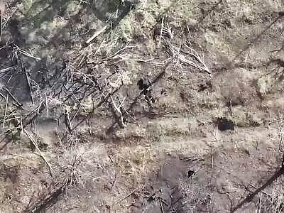 A field strewn with dead Russians