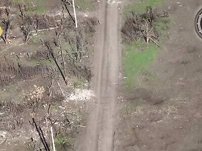 Gory Torso—He Misread the Memo About Playing Dead