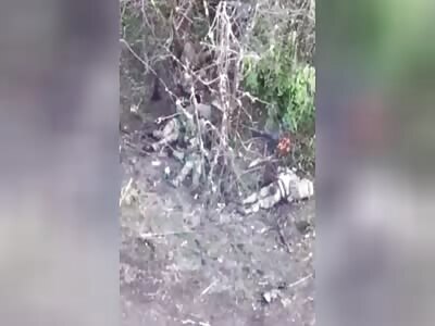 A broken group of Russian infantry