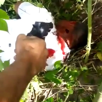 Gang Member Captured by Traffickers, Gunned Down In Cold Blood