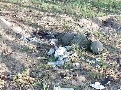 RUSSIAN POSITIONS IN SILVER FOREST 