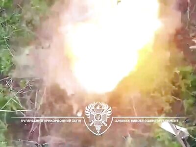 Russian kebab recipe