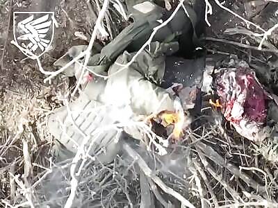 A fair punishment for the Russian occupiers