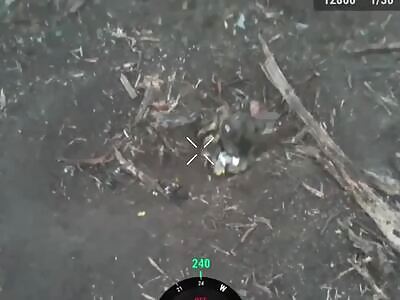 Depopulation of Russians in Ukraine