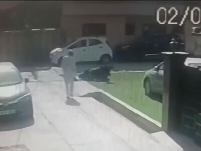 a classic don't show your ass to a bull 