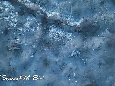 Repelling the Russian attack (trench fighting included)