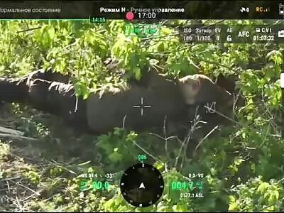 An evil drone is beating up Russians