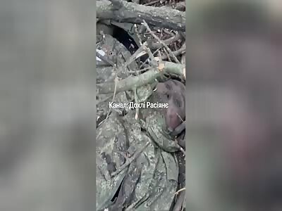 Russian Corpses Melting Away into Oblivion—For NOTHING