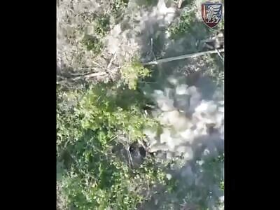 Drones Execute Death Warrants of Vile, Devious Orcs