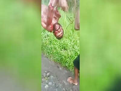 Hanging by a limb about to be cooked