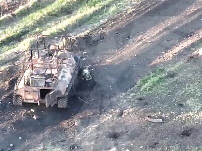 Russian Primate Has Limbs Detached by Butcher-Drone