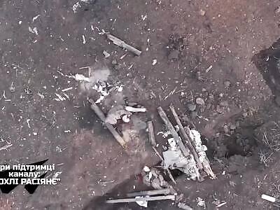 A Gift from Above—Vlad Gets an Open Lobotomy