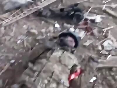 A junkyard in Ukraine with fresh meat and metal for the scavengers