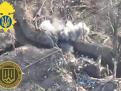 Dead Russians comp #11 (May 10, 2024)