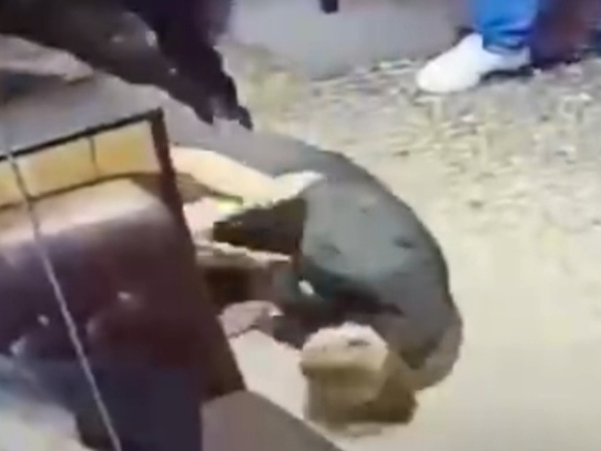 Man Hits Waiter In Bar