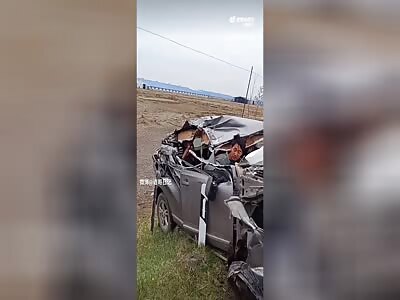 New Chinese Crash Test Dummy Passes Test