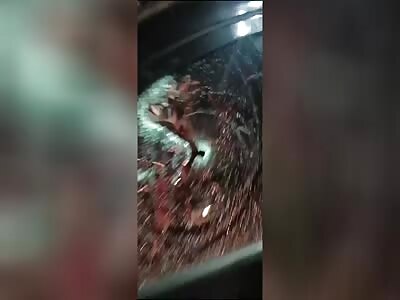 Woman murdered with multiple gunshots