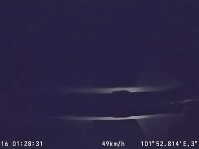 130kg Malayan 'Cat' Fatally Struck Along Highway In Bentong